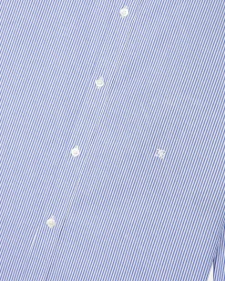 Chemise à rayures blanche et bleue