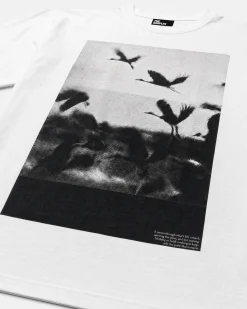 T-shirt avec sérigraphie oiseaux blanc