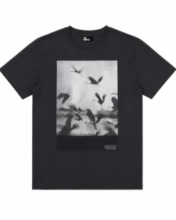 T-shirt sérigraphie oiseaux noir